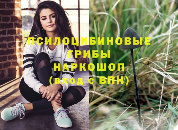 мескалин Медвежьегорск