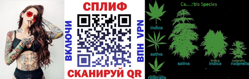 Бошки марихуана семена Гусиноозёрск
